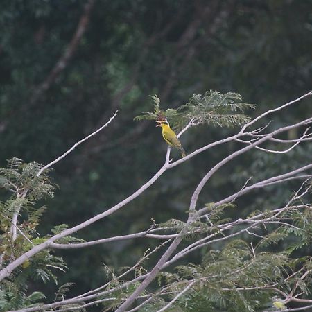 Veranda Nautica Kuah Luaran gambar